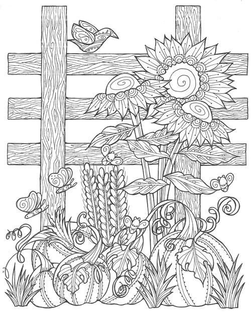 Sunflower pumpkin patch coloring page pdf