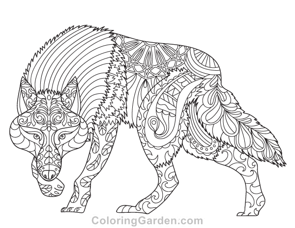 Wolf adult coloring page