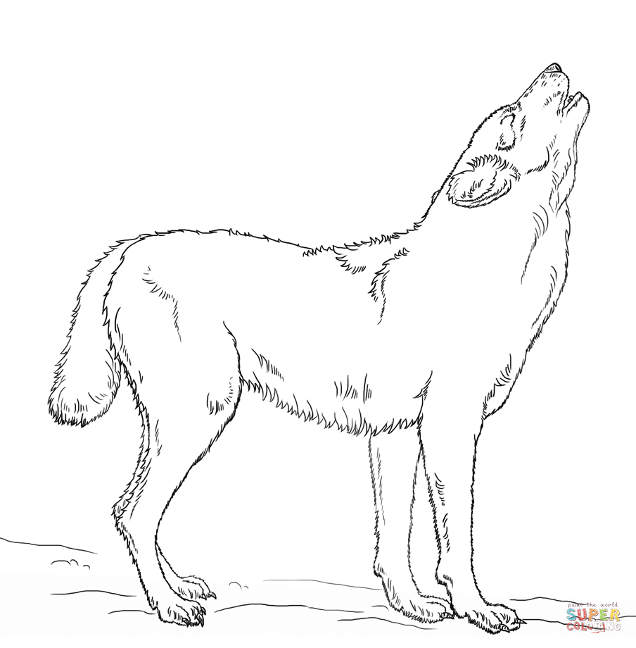 Howling wolf coloring page free printable coloring pages