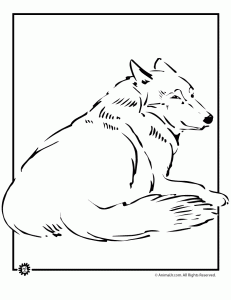 Wolf coloring pages animal jr