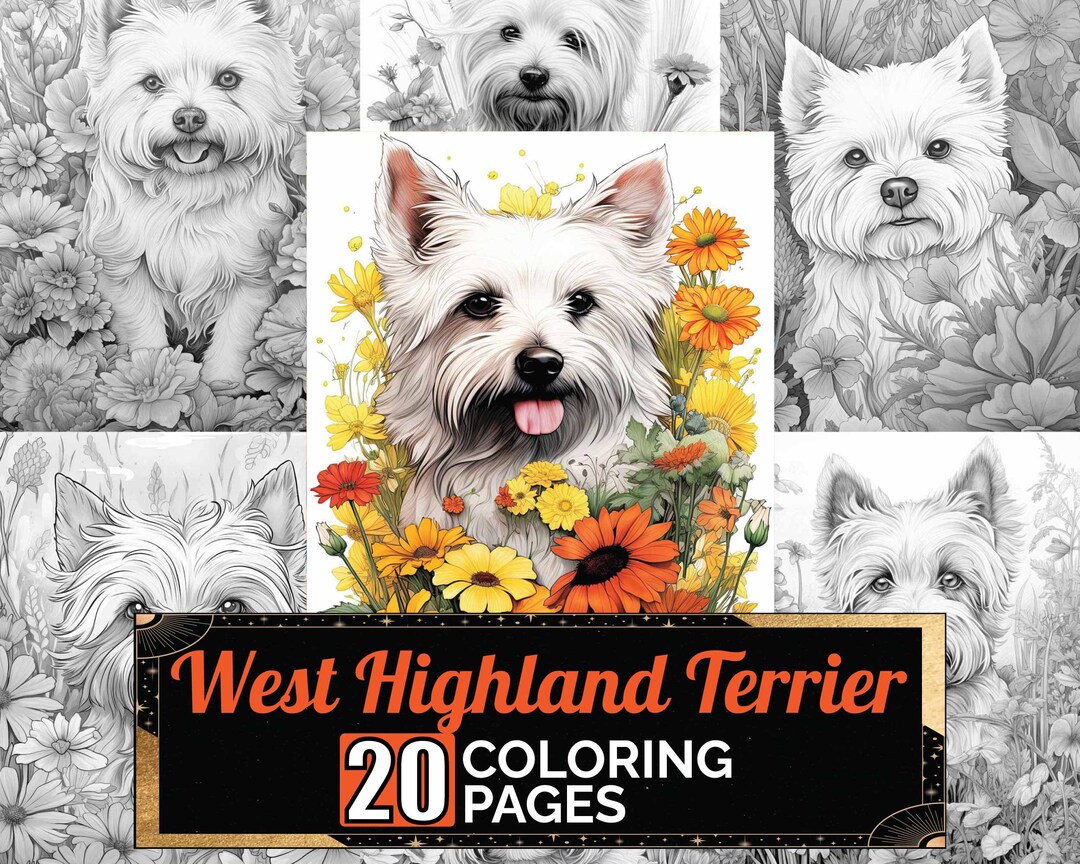 West highland white terrier westie dog coloring pages premium coloring sheets coloring book a size printable digital pdf download