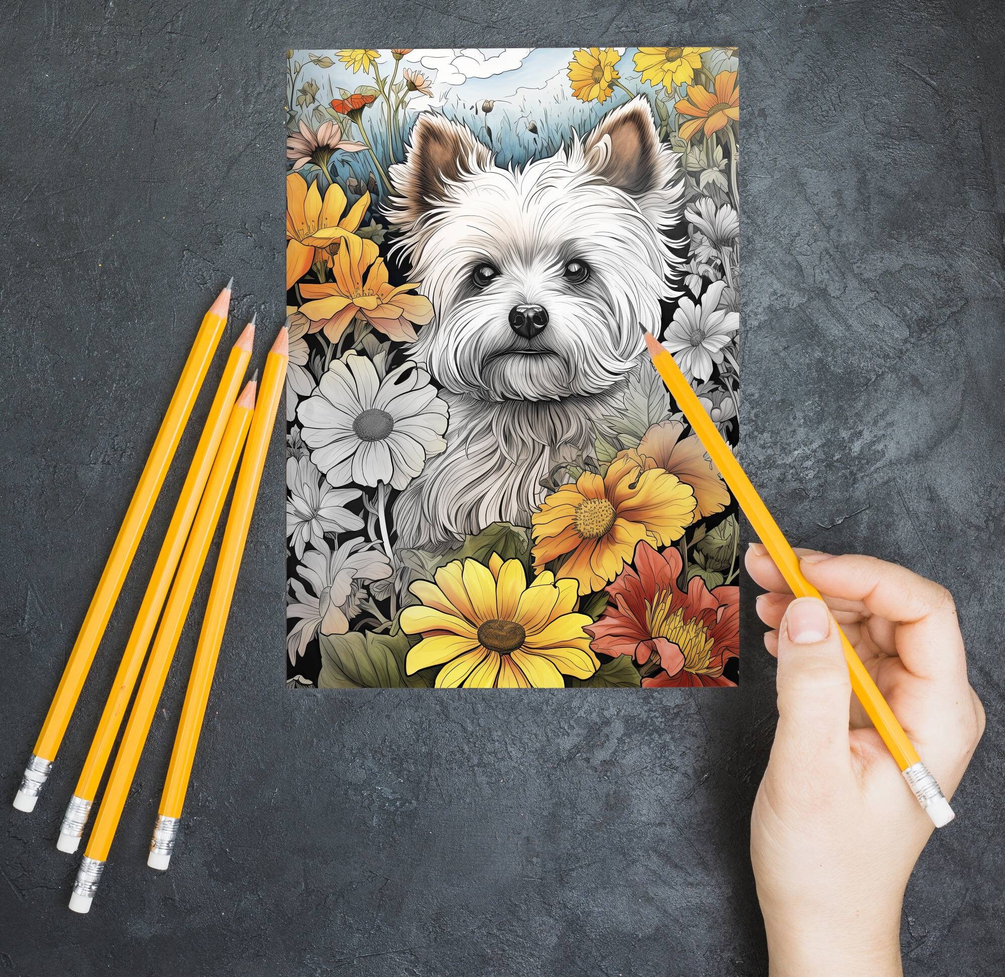 West highland white terrier westie dog coloring pages premium coloring sheets coloring book a size printable digital pdf download