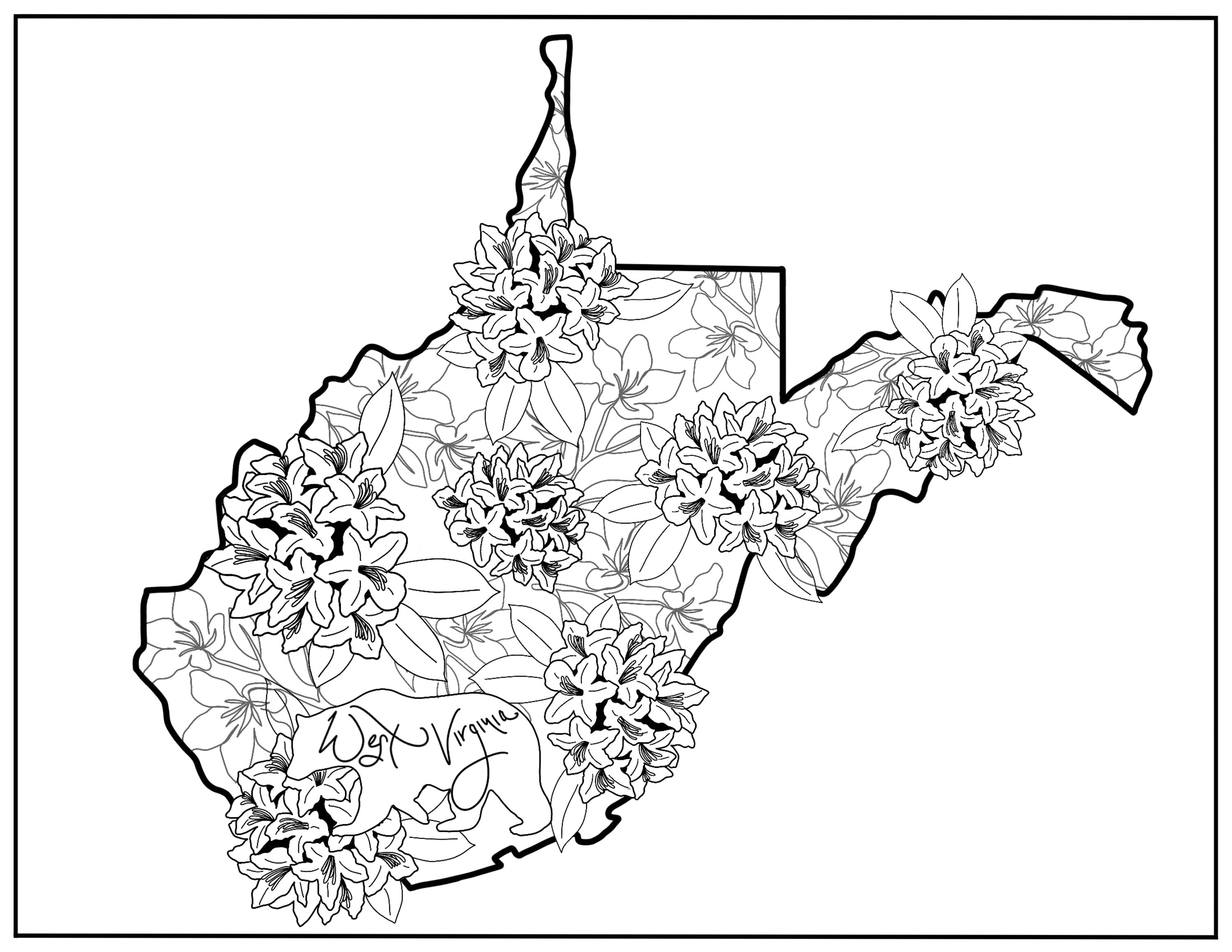 State coloring page west virginia flowers state flower