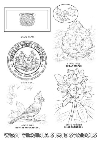 West virginia state symbols coloring page free printable coloring pages flag coloring pages state symbols coloring pages