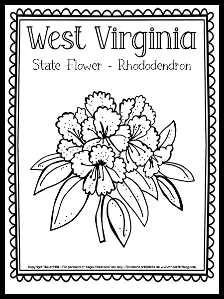 West virginia state flower coloring page rhododendron free printable â the art kit