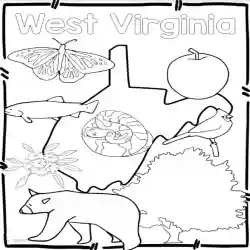 West virginia state symbols clip art by teach simple