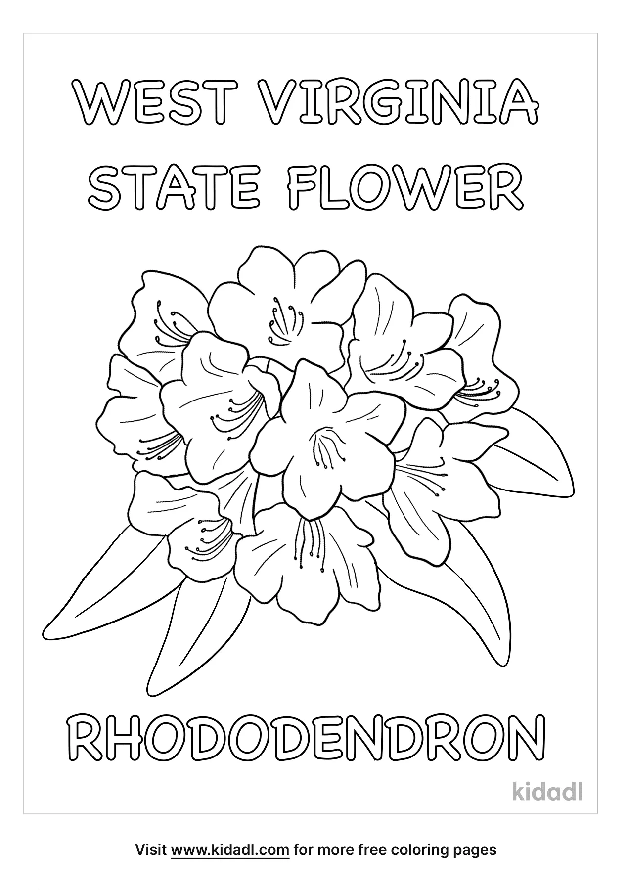 Free west virginia state flower coloring page coloring page printables