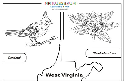 West virginia state symbols