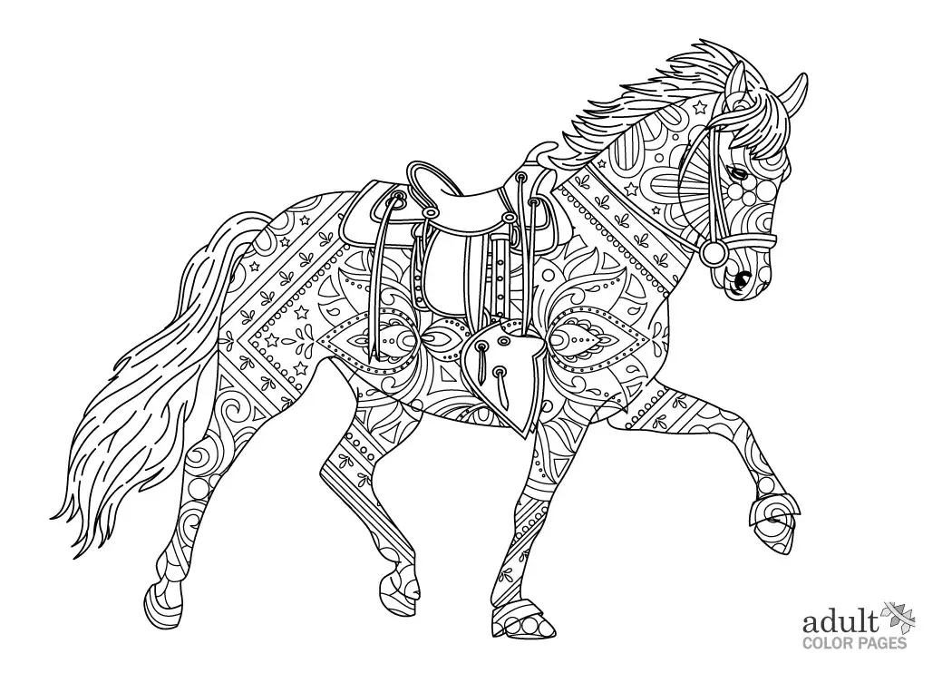 Free printable western horse coloring pages for adults