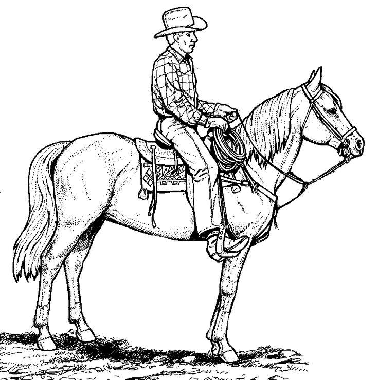 Cowboy western horse coloring pages horse coloring pages horse coloring books horse coloring
