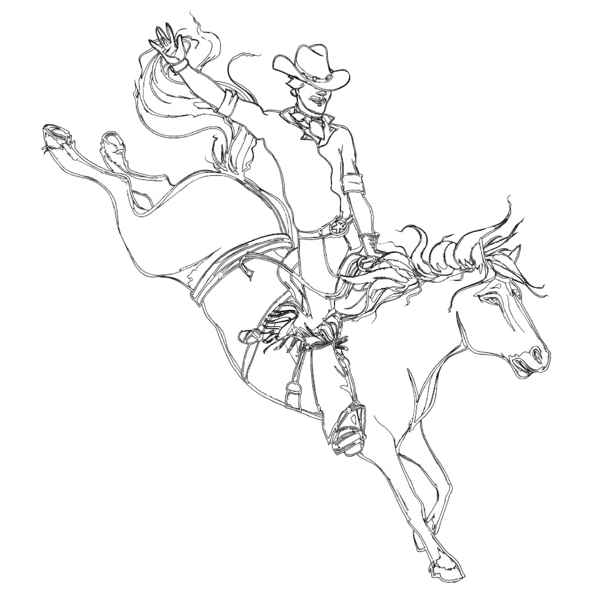 Color it rodeo