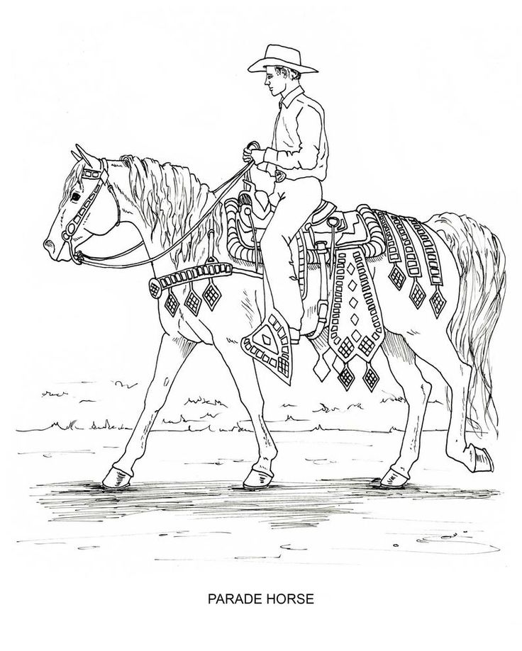 Printable set of western riding coloring pages digital download
