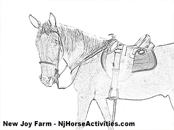 Coloring page of a saddled horse new joy farm