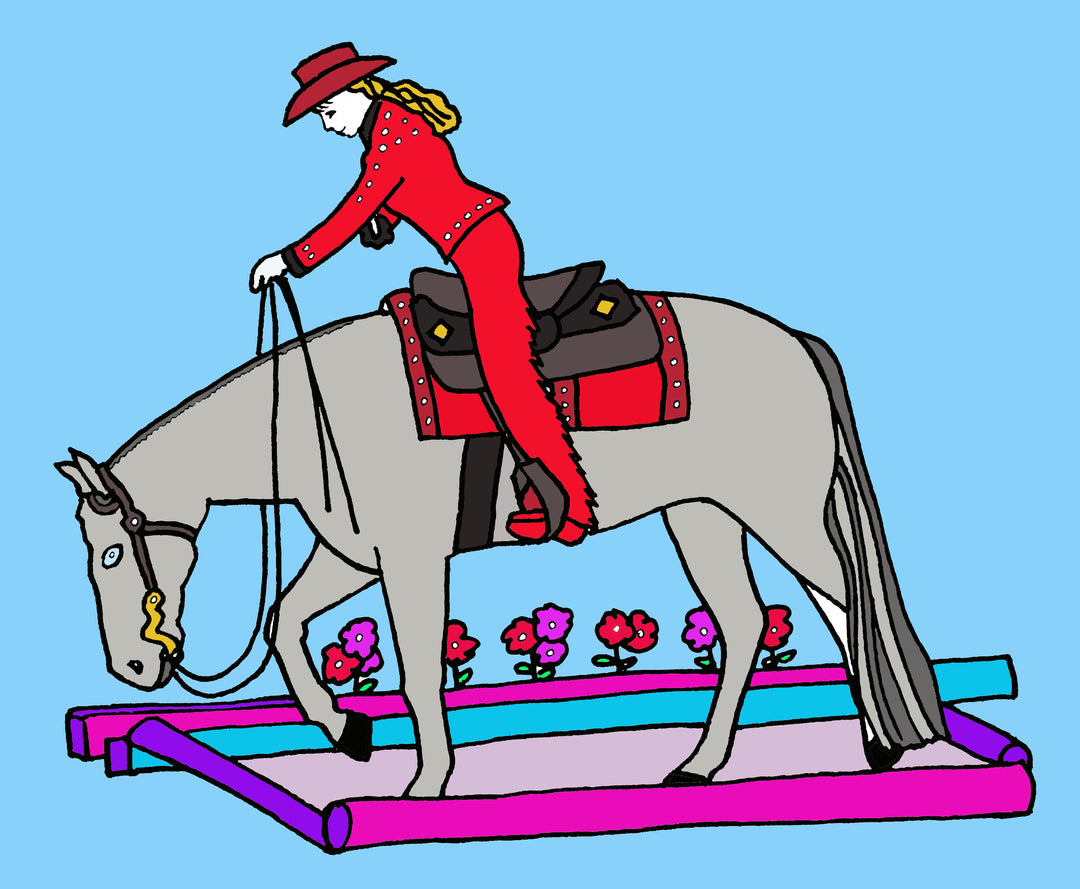 Digital horse pony coloring book â star point horsemanship