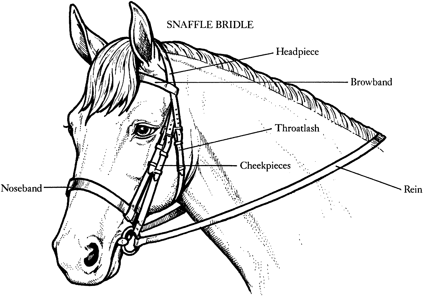 Free horse coloring pages