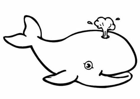 Basic drawing whale coloring page