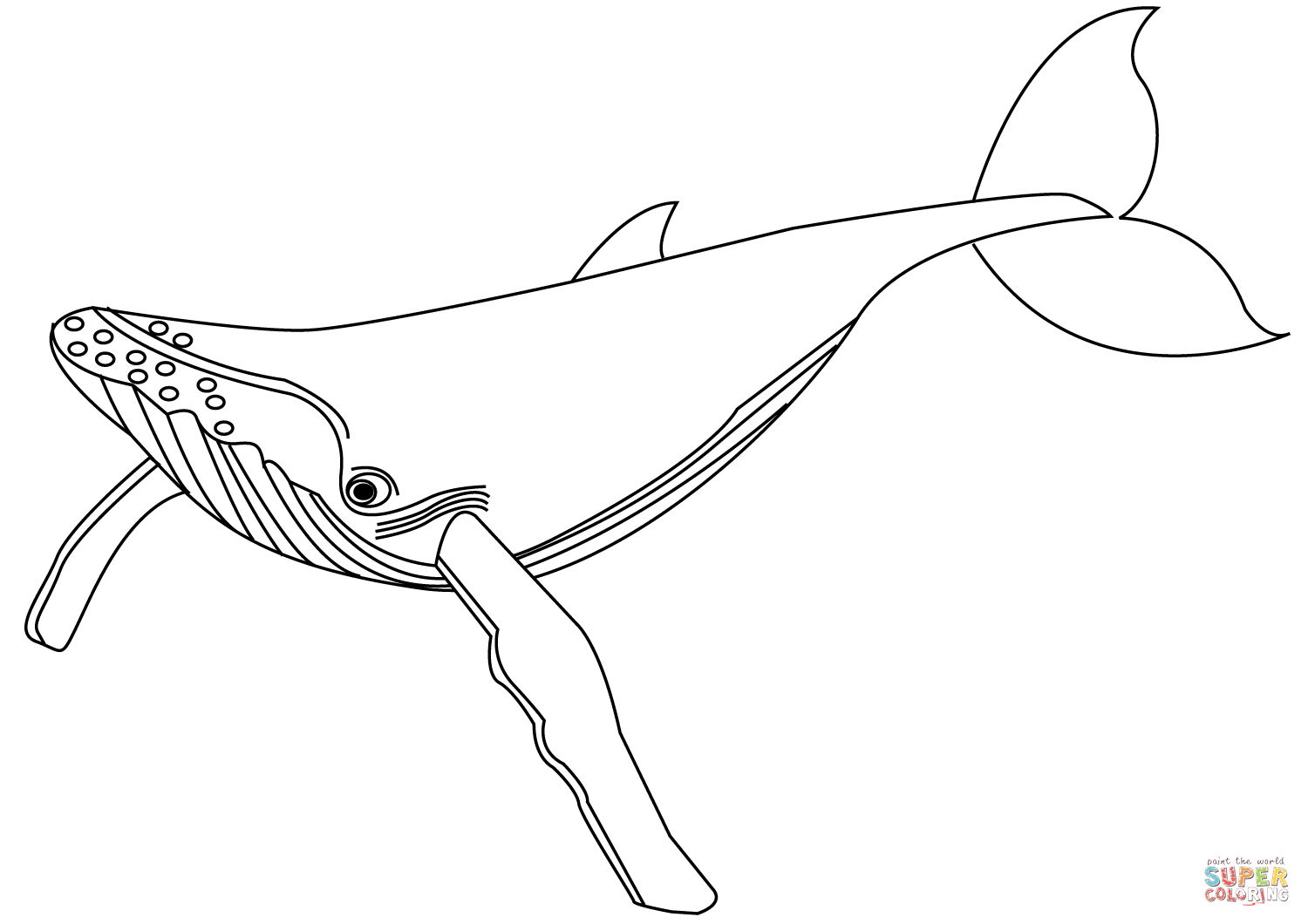 Blue whale coloring page free printable coloring pages