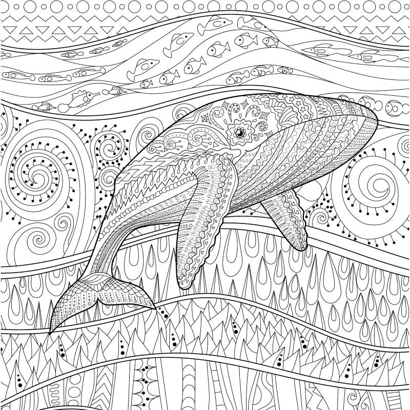 Coloring pages for adult with blue whale stock vector