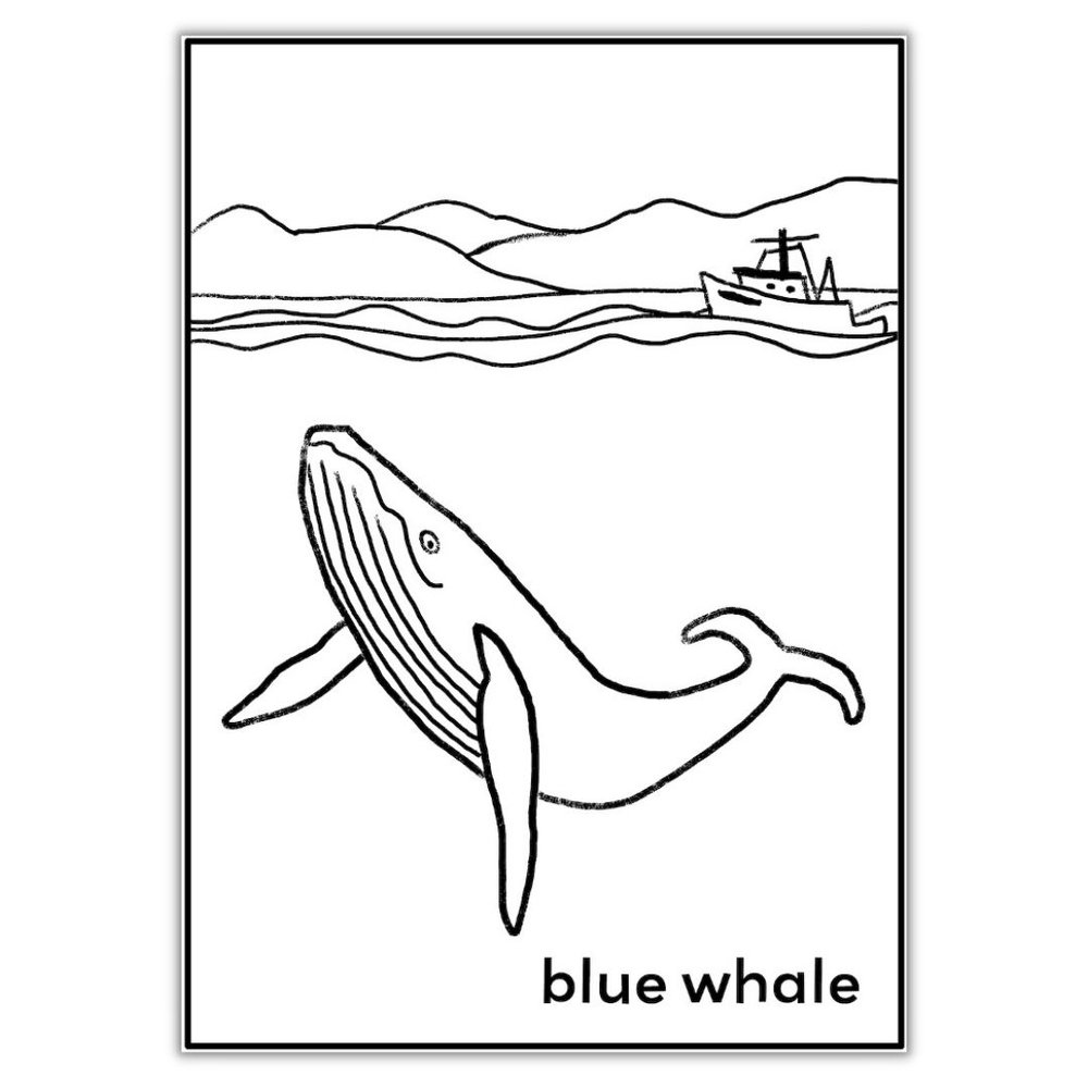 Its our planet too blue whale louring sheet