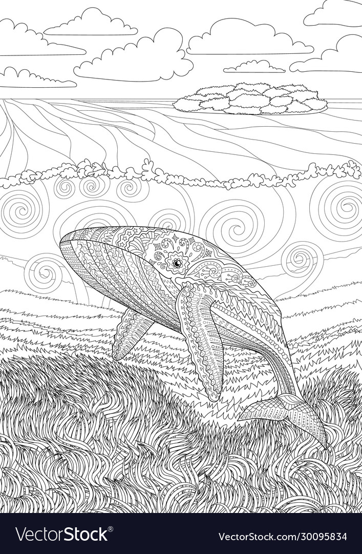 Coloring pages for adult with blue whale vector image