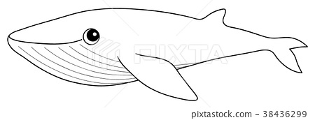 Blue whale coloring page