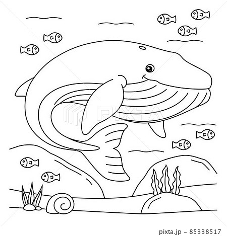 Blue whale coloring page for kids