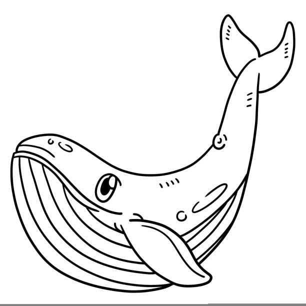 Blue whale isolated coloring page for kids stock illustration