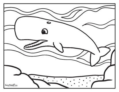 Whale coloring pages