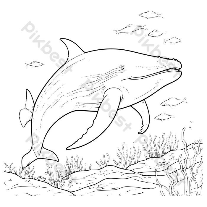 Blue whale drawing and coloring pages for kids png images eps free download