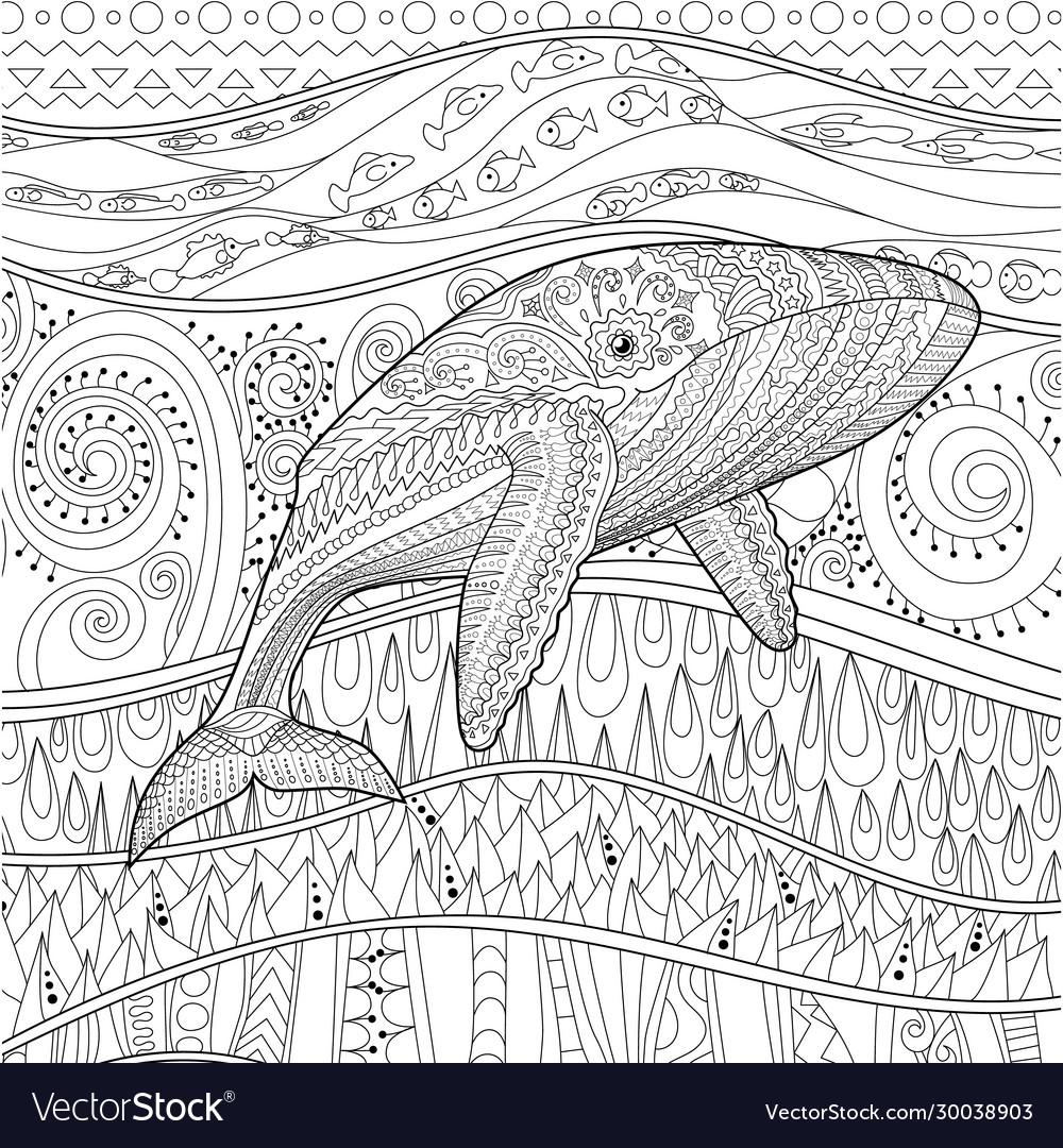 Coloring pages for adult with blue whale vector image