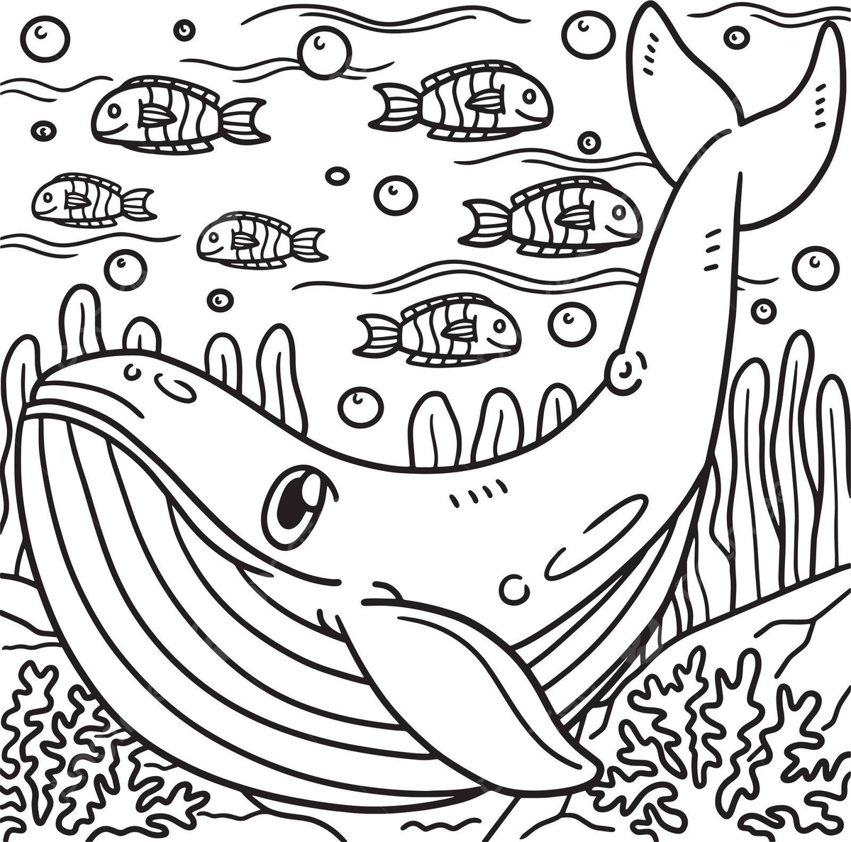 Blue whale coloring page for kids page water kids vector page water kids png and vector with transparent background for free download