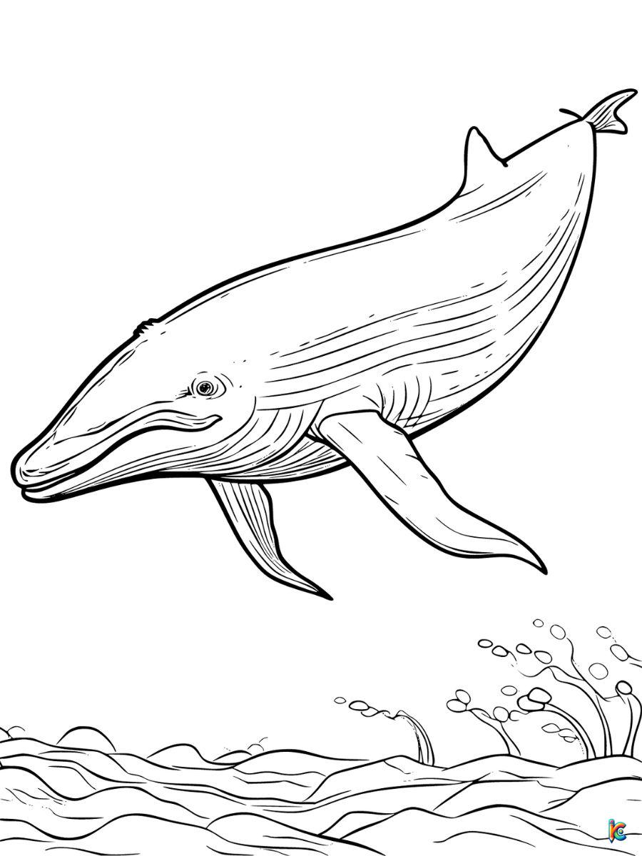 Whale coloring pages â