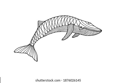 Sea animal blue whale coloring book stock illustration