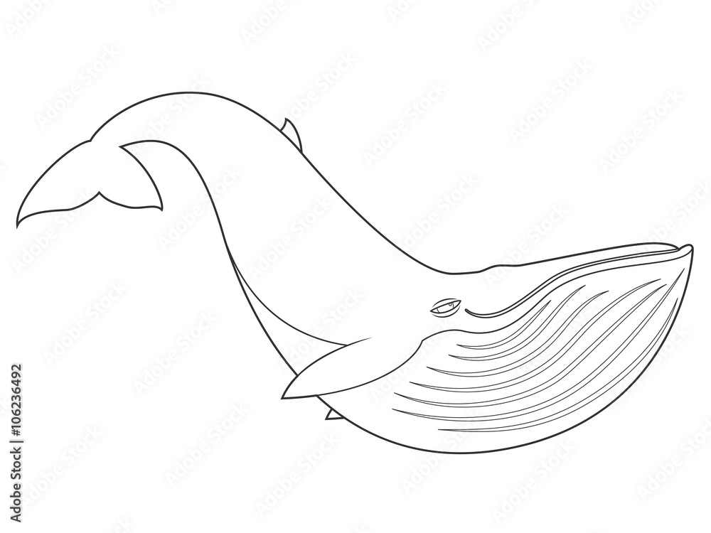 Vector illustration of a blue whale on white background with black outline for kids and coloring book vector