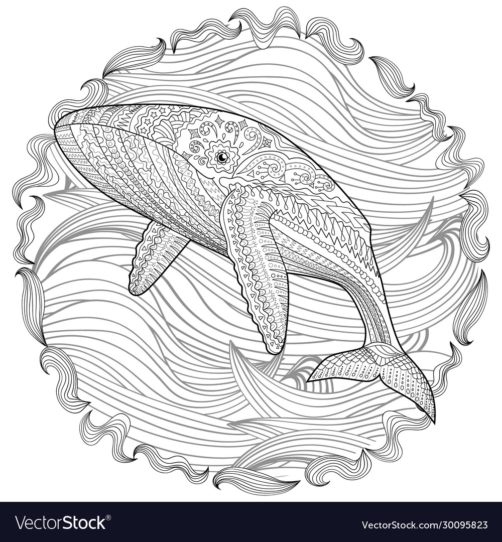 Coloring pages for adult with blue whale vector image