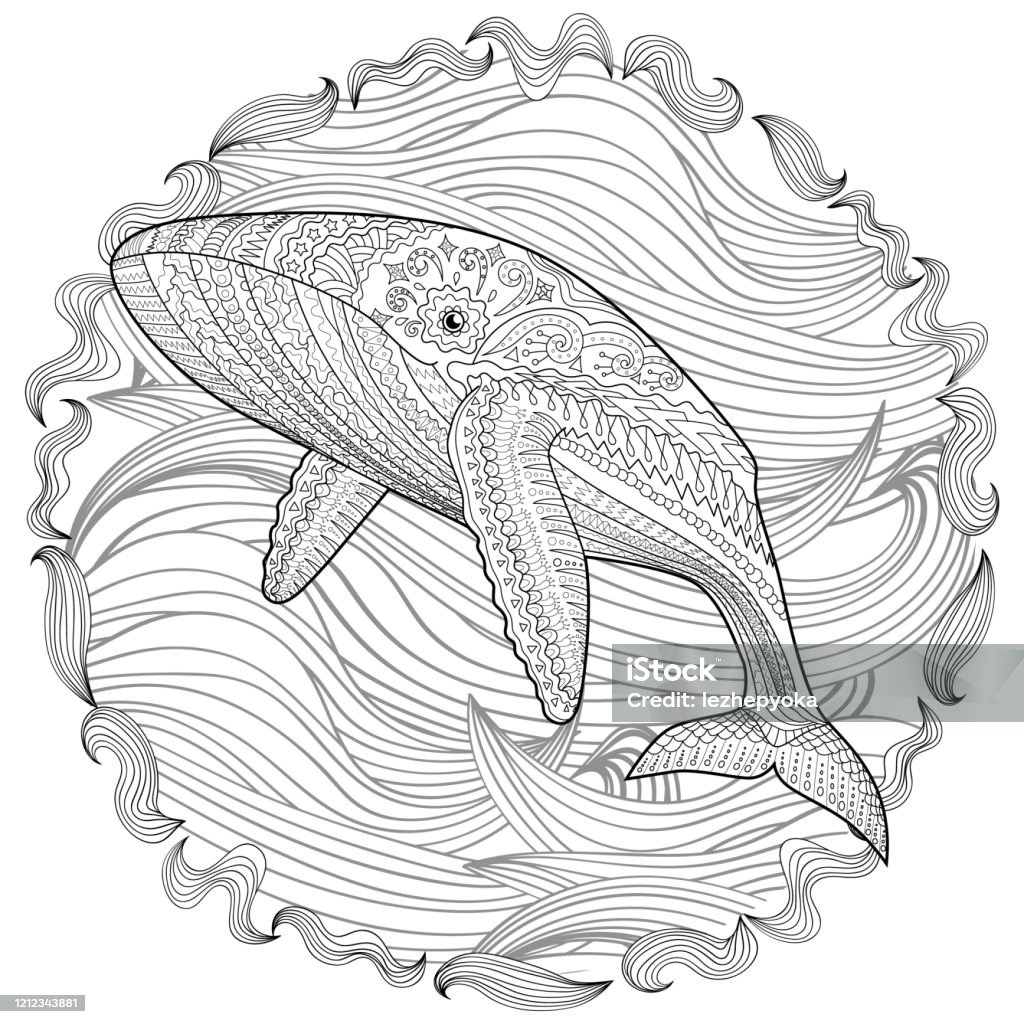 Coloring pages for adult with blue whale stock illustration