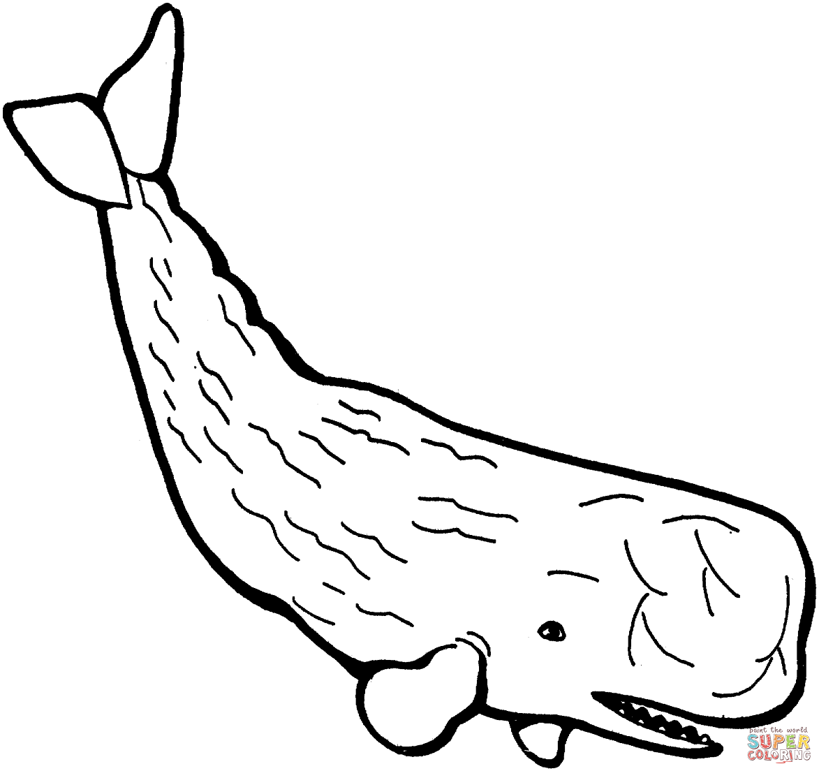 Whale coloring pages printable for free download