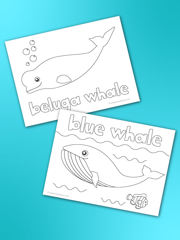 Awesome whale coloring pages for kids