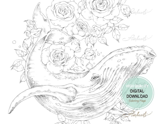 Whale coloring page digital download under the sea coloring