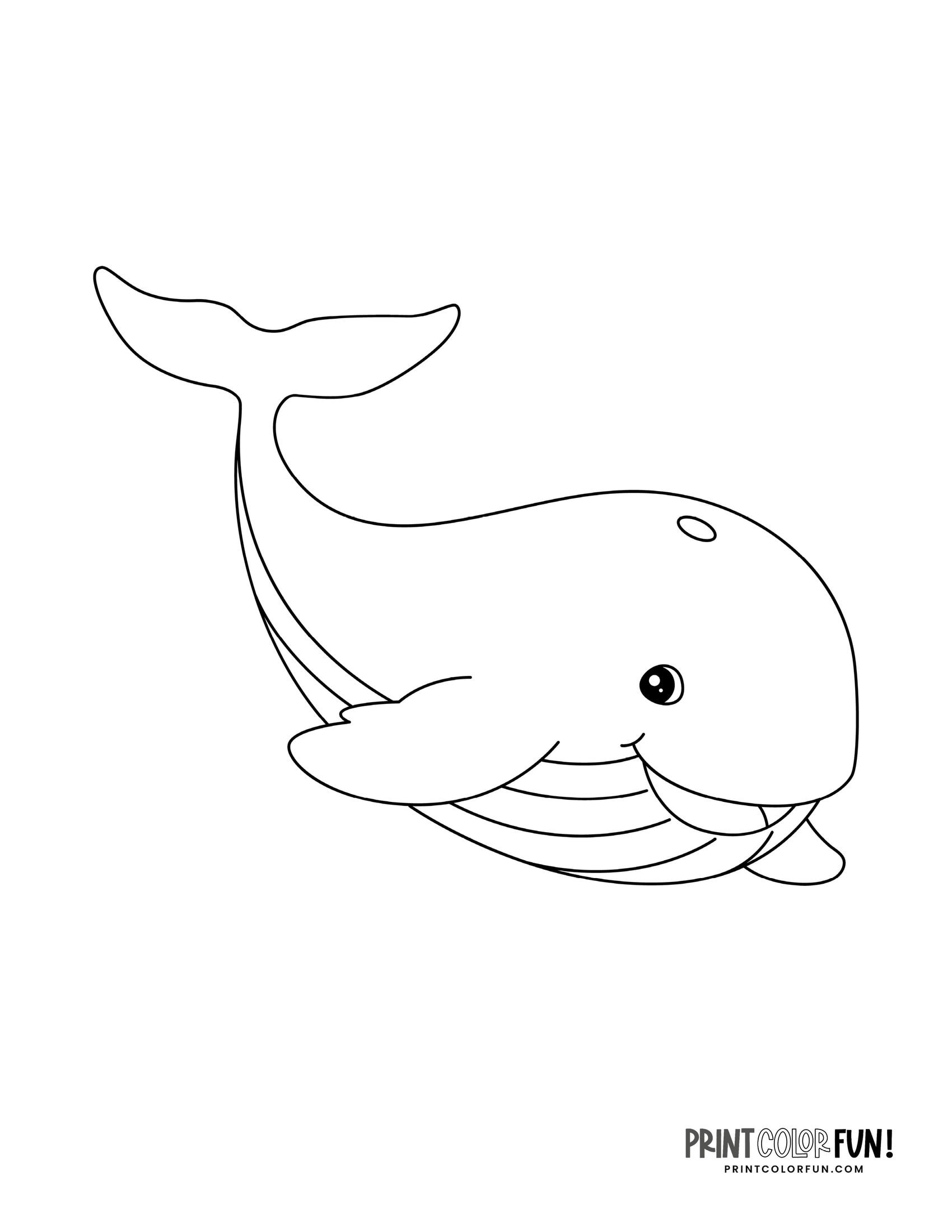 Whale drawings clipart add a splash of creativity fun to learning adventures at