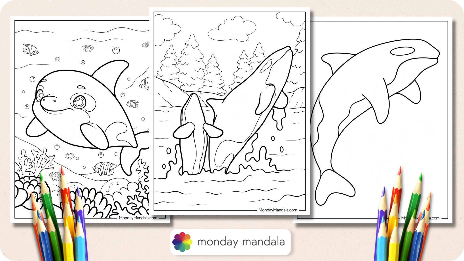 Killer whale coloring pages free pdf printables