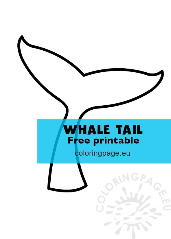 Whale tail template