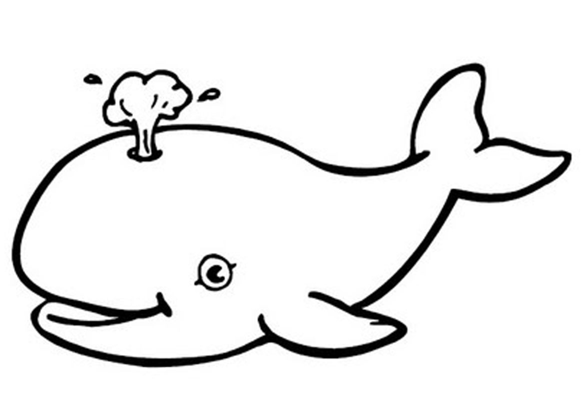 Free printable whale coloring pages for kids