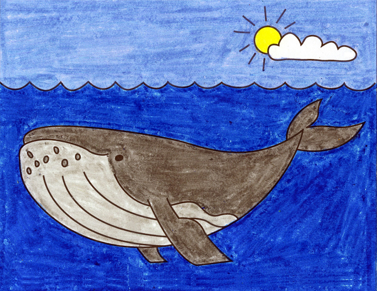 Easy how to draw a whale tutorial and whale coloring page