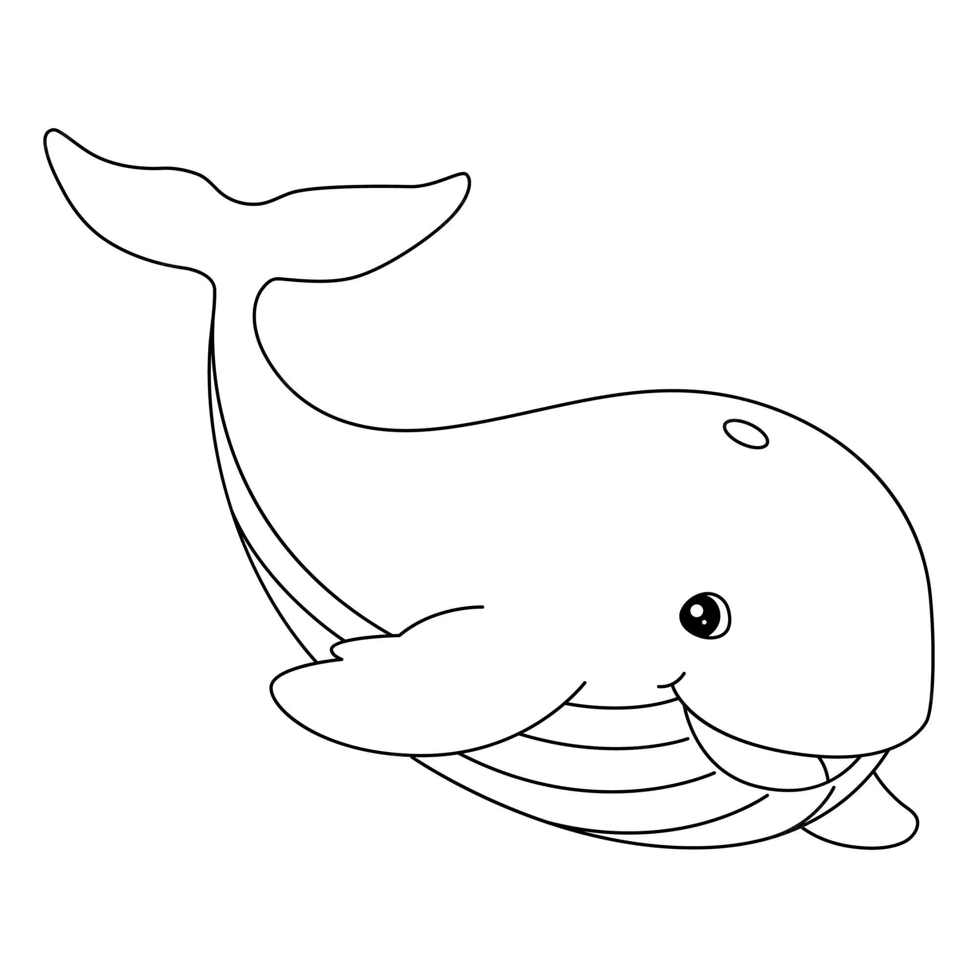 Laughing whale coloring page