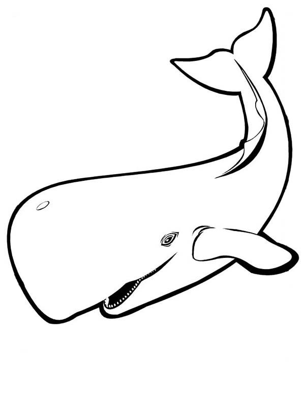 Whale coloring page kids play color whale coloring pages shark coloring pages coloring pages