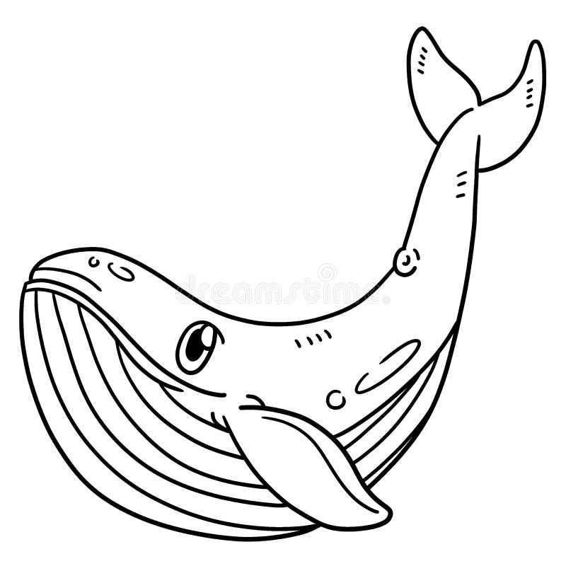 Blue whale isolated coloring page for kids stock vector