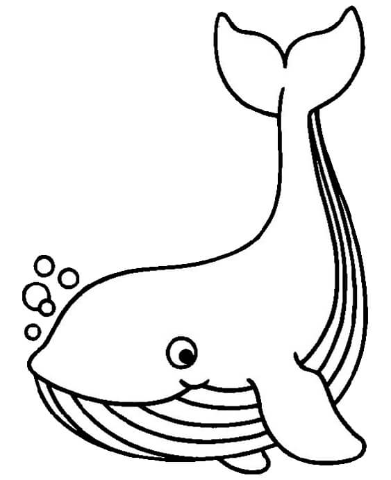 Free easy to print whale coloring pages