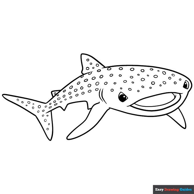 Whale shark coloring page easy drawing guides