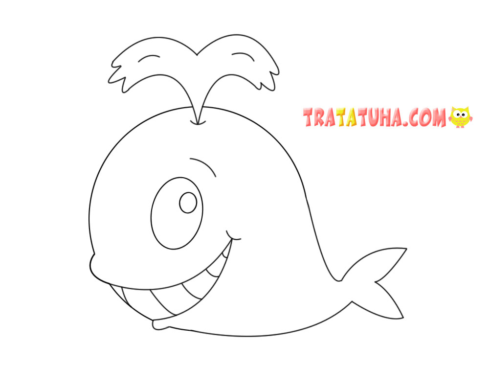 How to draw a whale â step by step tutorial